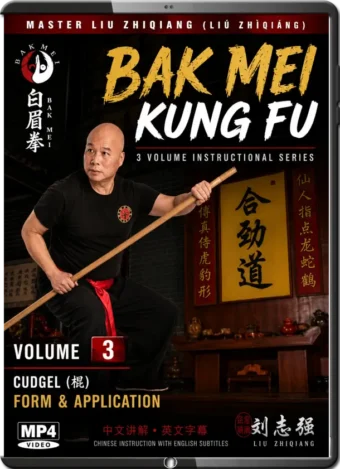 LIU ZHIQIANG - BAK MEI KUNG FU VOL.03