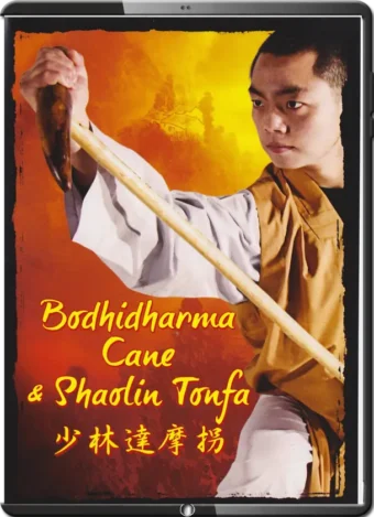 SHI YANTOU - BODHIDHARMA (DAMO) CANE & SHAOLIN TONFA