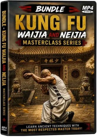 BUNDLE - KUNG FU WAIJIA AND NEIJIA MASTERCLASS SERIES