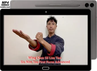 DRAGON SIFU - WING CHUN SIL LIM TAO (SIU NIM TAU) FIRST FORM ADVANCED