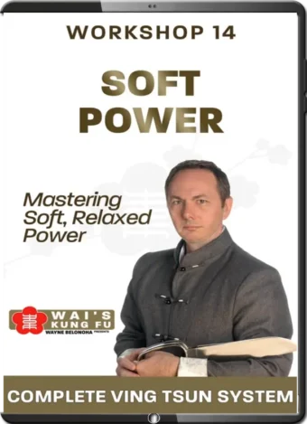 WAYNE BELONOHA - WORKSHOP 14 - SOFT POWER