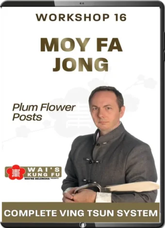 WAYNE BELONOHA - WORKSHOP 16 - MOY FA JONG - PLUM FLOWER POSTS