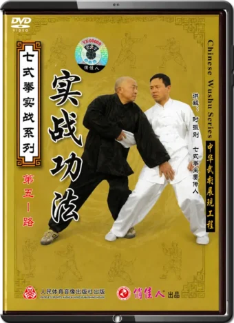 SHI ZHEN GANG - SEVEN FORM BOXING - REAL FIGHTING USAGE