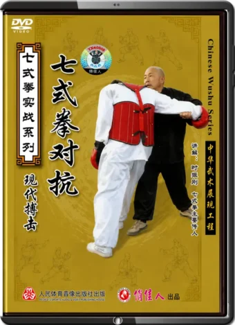 SHI ZHEN GANG - SEVEN FORM BOXING - CONFRONTATIONS