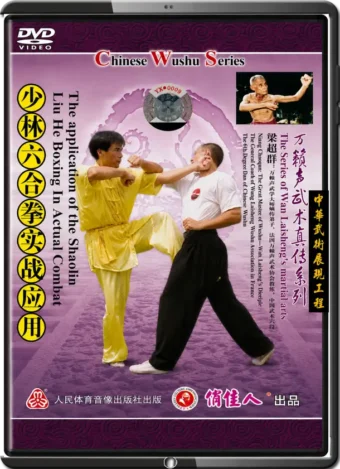 LIANG CHAOQUN - THE MARTIAL ARTS OF WAN LAI SHENG - LIU HE USAGE