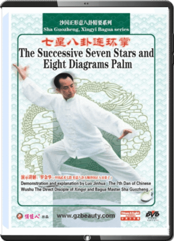 SHA GUOZHENG - LUO JINHUA - THE SHA GUOZHENG XINGYI BAGUA 08 - THE SUCESSIVE SEVEN STARS AND EIGHT DIAGRAMS PALM