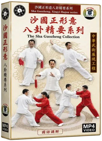 SHA GUOZHENG - LUO JINHUA - THE SHA GUOZHENG XINGYI BAGUA COLLECTION SERIES