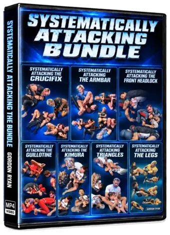 SYSTEMATICALLY ATTACKING BUNDLE BY GORDON RYAN