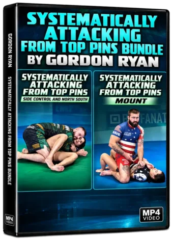 SYSTEMATICALLY ATTACKING FROM TOP PINS BUNDLE BY GORDON RYAN
